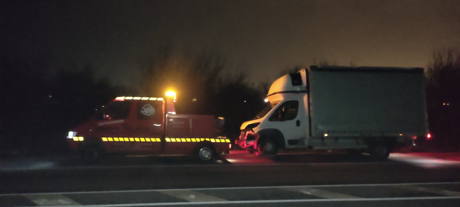 Professional Service